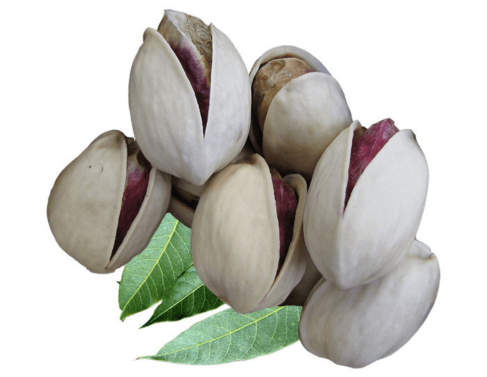 Pistachio