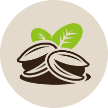 About Iran Pistachio